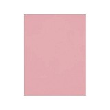 Westcott 544 X-Drop Background Blush Pink 1.52m x 2.13m