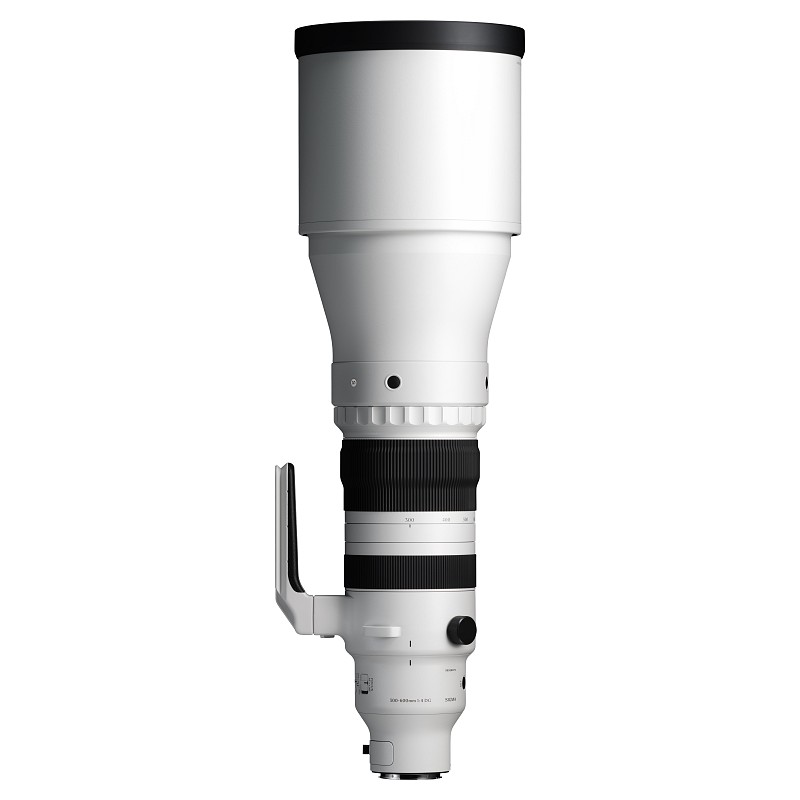 SIGMA 300-600mm F4 DG OS Sport Sony E-mount