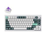 Keychron Q1 HE (Q1H-P1) QMK White Wireless Custom Hall Effect Keyboard Purple Switch